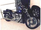 2001 Harley Davidson Fxsti