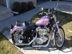 01 Harley Davidson Sportster 883 Hugger