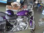 2002 Harley Davidson XL883L Sportster in Joliet, IL