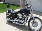2012 Harley Davidson Seventy Two XL1200N Sportster in House Springs, MO