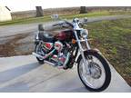 2008 Harley Davidson 1200 XL Custom Sportster