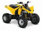 2013 Can-Am DS 250