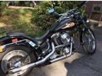 1998 Harley Custom Soft Tail for Sale