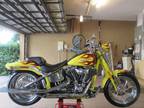 2009 harleydavidson softail screamin eagle springer