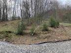Plot For Sale In Rock Cave, West Virginia