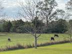 Farm House For Sale In Laurel, Mississippi