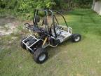Helix 150 Fun Cart go Kart Atv Dune Buggy
