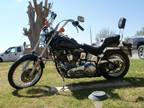 1984 Harley Davidson Softail