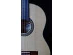 2021 Darren Hippner Hand Made Spruce Top Flamenco Guitar