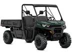 2024 Can-Am Defender Pro DPS HD10