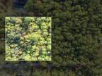 Tallahassee, Leon County, FL Undeveloped Land, Homesites for sale Property ID: