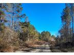 Lynn, Winston County, AL Recreational Property, Timberland Property