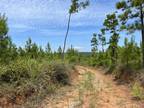 Sprott, Perry County, AL Undeveloped Land for sale Property ID: 419046338