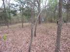 TBD BROAD MEADOW, Murchison, TX 75778 Land For Sale MLS# 105416