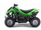 2014 Kawasaki KFX 50