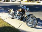 2001 Harley Davidson FXSTDSI Softail Deuce in Houston, TX