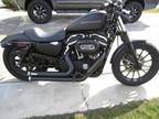 Looking New!!2009 Harley Davidson 883 Iron Sportster