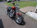 2013 Harley Davidson XL1200c Sportster in Bernardsville, NJ