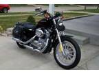 2005 Harley-Davidson Sportster 883 Low