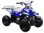 New Coolster 110cc SportsMax ATV for Kids