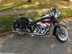 2005 Harley-Davidson) Softail