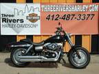 2009 Harley-Davidson Dyna Fat Bob