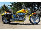 2004 Special Construction Softail, Adult Owned and Riddin!!!