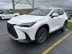 2022 Lexus NX 350 Premium