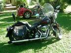 2005 Harley Springer Softail