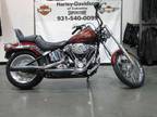 2009 Harley-Davidson Softail Custom