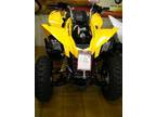 2013 Can-Am DS 250