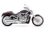 2005 Harley-Davidson VRSCA V-Rod