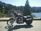 2005 Harley Davidson Sportster XL 1200