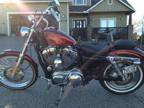 2012 Harley Davidson Sportster 1200 72 in Flagstaff, AZ