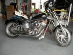 2005 Custom 113 Ultima Softail