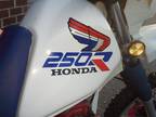 1987 Honda xl250R