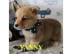 Vanny