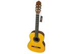 Classical Guitar Raimundo 128 Rosewood +Solid Spruce Top A1 NEW Made in Spain