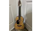 Used Ashland by Crafter Left Handed AD3T Classical Guitar with Gig Bag