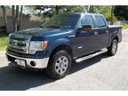 Used 2014 FORD F150 For Sale