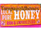 Local Raw Tampa Honey, Local Raw Tampa Honey for Sale Near +Tampa