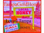 Local Honey for sale Tampa, Local Honey sold in Tampa