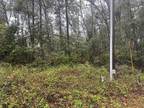 Madison, Madison County, FL Undeveloped Land, Homesites for sale Property ID: