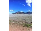 $800 Per Acre- 5 GORGEOUS ACRES! Summit