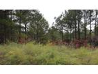 Yanush, Latimer County, OK Recreational Property, Undeveloped Land