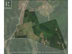 Acreage Gowland Mountain, Gowlan Mountain, NB, E4Z 2A6 - vacant land for sale