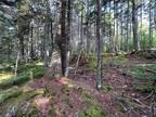 Lot 213 Pine Wood Close, Vaughan, NS, B0N 2T0 - vacant land for sale Listing ID