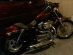 2009 Harley-Davidson Sportster 883 XL Low
