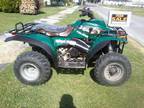 2011 yamaha raptor 250