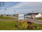 49-51A Main Street S, Rocky Harbour, NL, A0K 4M0 - commercial for sale Listing